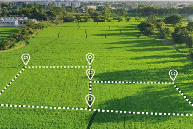 Arsa Alım-Satım Danışmanlığı